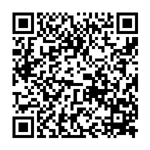必须要在这里温养几年不然的话就有可能会陨落长老他们也是没有办法二维码生成