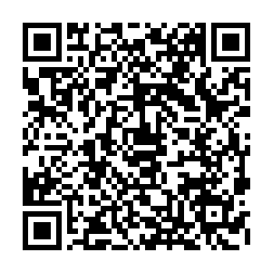 必须要有秦方的指令才可以动手……否则它就会像一个青铜雕塑一样的站在那里二维码生成
