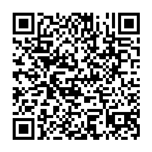 必须要求兄弟们在订阅阅读之余顺手把你们每天都有的推荐票砸给老瑞了二维码生成