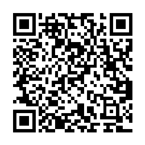 必须要让这个肮脏的三眼会家族的血彻底流净才能洗刷……二维码生成