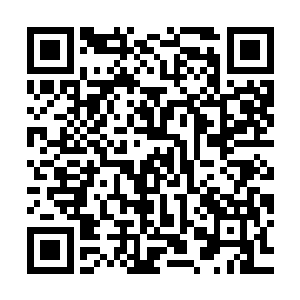 必须让他从解总开一个这段时间自己是在为国家执行任务的证明二维码生成