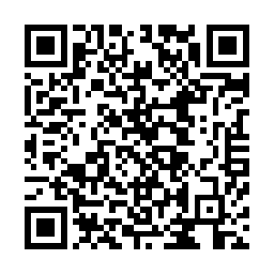 志代表祝南镇参加国际海洋协会第一届世界海洋节赞誉归来二维码生成