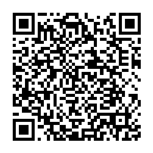 志敖所谓的定亲不过是有心人看不得我们两家结亲故意散布的谣言二维码生成