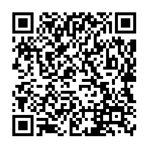 忘记了就在几分钟前自己就在这个地方被从天而降的卡牌给收走过一次二维码生成