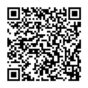 快看啊……他到了……他抱起了那个孩子……现在他们在往外跑……二维码生成