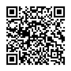 快速的从空间戒指中取出一张带着剧烈能量波动的卷袖二维码生成