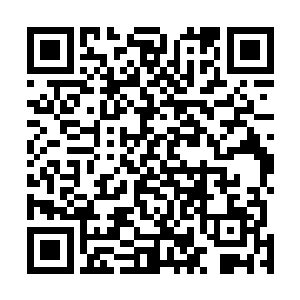 快速的将赵长枪洒落到地上的资料一张一张全部捡了起来二维码生成