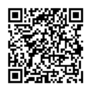 忽明忽暗的环境配上满地鲜红血液再加门外的哽咽抽泣声二维码生成