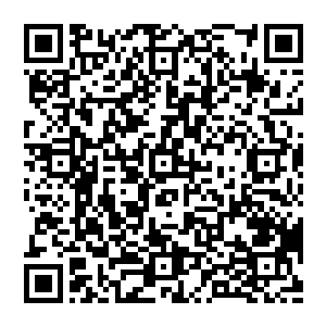 忽然之间 喧闹的众人忽然安静了下來 那咔嚓之声 虽然细小 但却是像一道道炸雷 狠狠的轰击在他们心间二维码生成