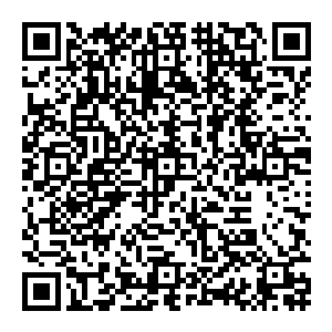 忽然之间 耳边再次传來一阵怒吼 但这一次怒吼不同寻常 竟然直接轰击进入了他的灵魂 随着怒吼进入的 居然还有一丝罡风之力二维码生成