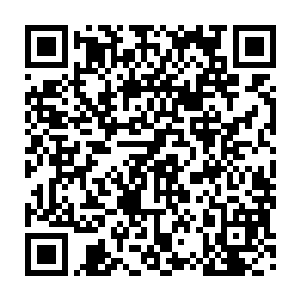 忽然杨戬的目光也落到了柜台角落一个表面蒙了一层灰尘的黑色的木盒子上面二维码生成