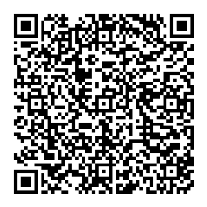 忽然间 原本在街道上急速奔跑的风清扬 好似撞到了什么 发出一声剧烈的响声 顿时倒飞了出去 那响彻天地的声音 好似一口大钟二维码生成