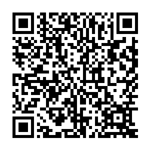 怂得很淡定得君公子立刻出门火速租用了一栋每年一万魔晶的居所二维码生成