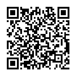 怎么也要跟那宿管阿姨理论理论的……他们为了突破这一道大门二维码生成