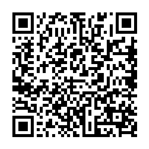 怎么会是这样的……脑海里开始闪过蓝珂每次看到陆非凡时的那种兴奋的表情二维码生成
