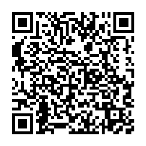 怎么会这样……我还以为你在这里的……你不是给夺走了觉醒通道……二维码生成
