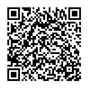 怎么会逛这些世俗的低级小店买东西而且还砍价砍得这么兴高采烈二维码生成