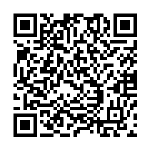 怎么办　找个油桶沉江底　他看到了咱们的脸　不能活了　二维码生成
