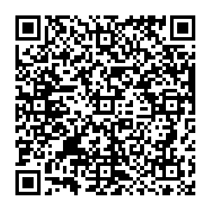怎么可能……再过几年我和腊肉一定会给你生一个侄子的……到时候你就知道我发育的有多么正常了……二维码生成