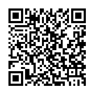 怎么可能会和杨洛这个普通得不能在普通的平凡男人发生什么二维码生成