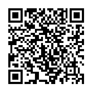 怎么可能会开出价值连城的脸盆大小的玻璃种帝王绿来二维码生成