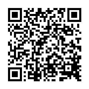 怎么如今换了孙妈妈了……我可得给下面的管事说一声二维码生成