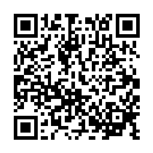怎么您说的意思是九原首领的位子将不会传给自己的血脉二维码生成