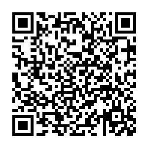 怎么感觉什么都干不成只会说瞎话的是你自己呢……杨辰心里默默念叨二维码生成