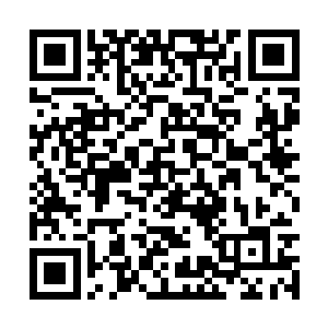 怎么每次自己看似已经掌握了绝对主动说出来的话二维码生成