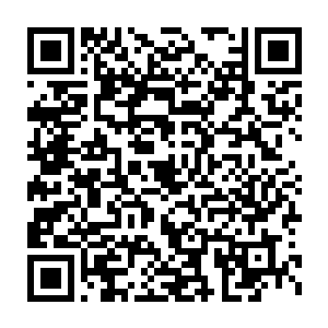 怎么甘心给我一个在他面前连小弟都不是的仙家打成这幅狼狈模样二维码生成