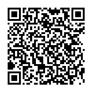 怎么看也没有成为绝世凶人的潜质啊……地狱刀怎么会对他这么友善二维码生成