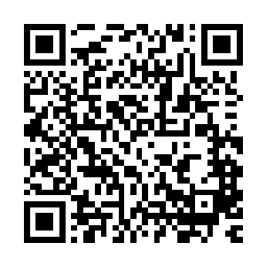 怎么肯呢过会这么简单的就准备一件房子给自己和白芷璃居住呢二维码生成
