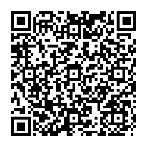 怎么能引得大把的圣阶和神皇一级的人物每隔几百年就要在里面你死我活的大战一次二维码生成
