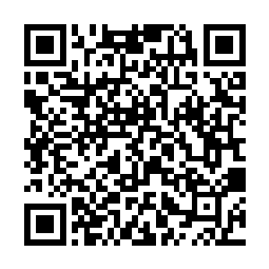 怎么说现在的腾龙殿也称得上是修真界的一流势力了二维码生成