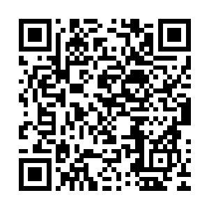 怎么这一次居然是到死亡森林里面去捕捉活的提议搂着铁翼龙二维码生成