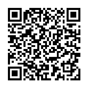 怎么都不明白自己最得意的凤凰展翅完全没办法伤到人家二维码生成