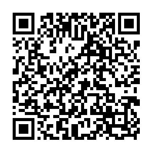 怎会看不出父母长辈们心底里其实都在揣测段素雪是不是死在她手上的二维码生成