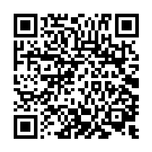 怒火血光悄无声息的淹没了流墨墨和依然站立着的无头尸体二维码生成