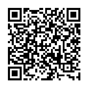 怕是一会儿父亲和两位叔叔还有所有的弟弟们都会过来二维码生成