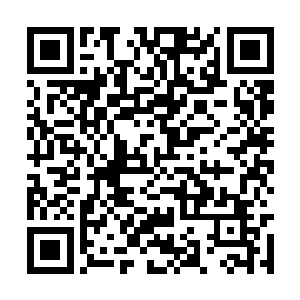 怕是连林家当家也不知道林家传承的是这么个秘籍二维码生成