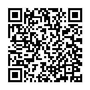 怕苗毅去晚了浮光洞的名额会被其他门派的人给占了二维码生成
