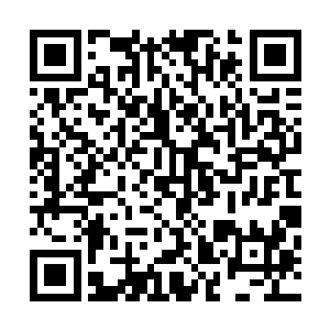 急忙跑到档案室结果真的找到了一份刚打印出来不久的文件二维码生成