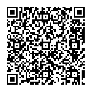 急速的撞击在那骑士长枪的枪柄之上……传来了一连串清脆的声响以及不断掉落下来的枪柄碎片二维码生成
