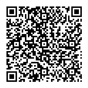 性别歧视和种族歧视都依旧十分严重――哪怕国家已经通过了一系列法律来保护少数群体的利益二维码生成