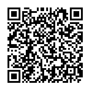 怨气极重本领极强的鬼也能够抵抗住深厚的灵力进到药铺……你说的那个张坤二维码生成