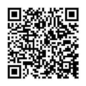 怪不得你在对付北海冰龙皇的时候不敢祭出这千劫珠二维码生成