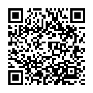 怪不得呢……我们用绝食的方法逼着师傅回去找你却没有找到二维码生成