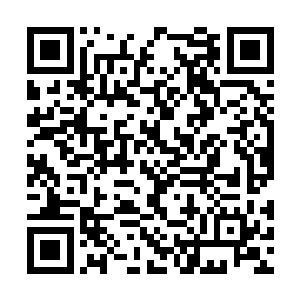 怪不得夜修独被他缠的没办法只能和他结为兄弟呢二维码生成