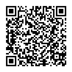 怪不得尊敬的神殿长老会派遣我们二人来邀请几名实力仅在十四星级的人二维码生成