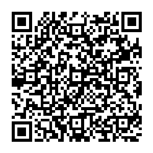 怪不得身上有种奇怪的熟悉气息呢……可是我没有见过他啊……一定是某个仇家的后代二维码生成